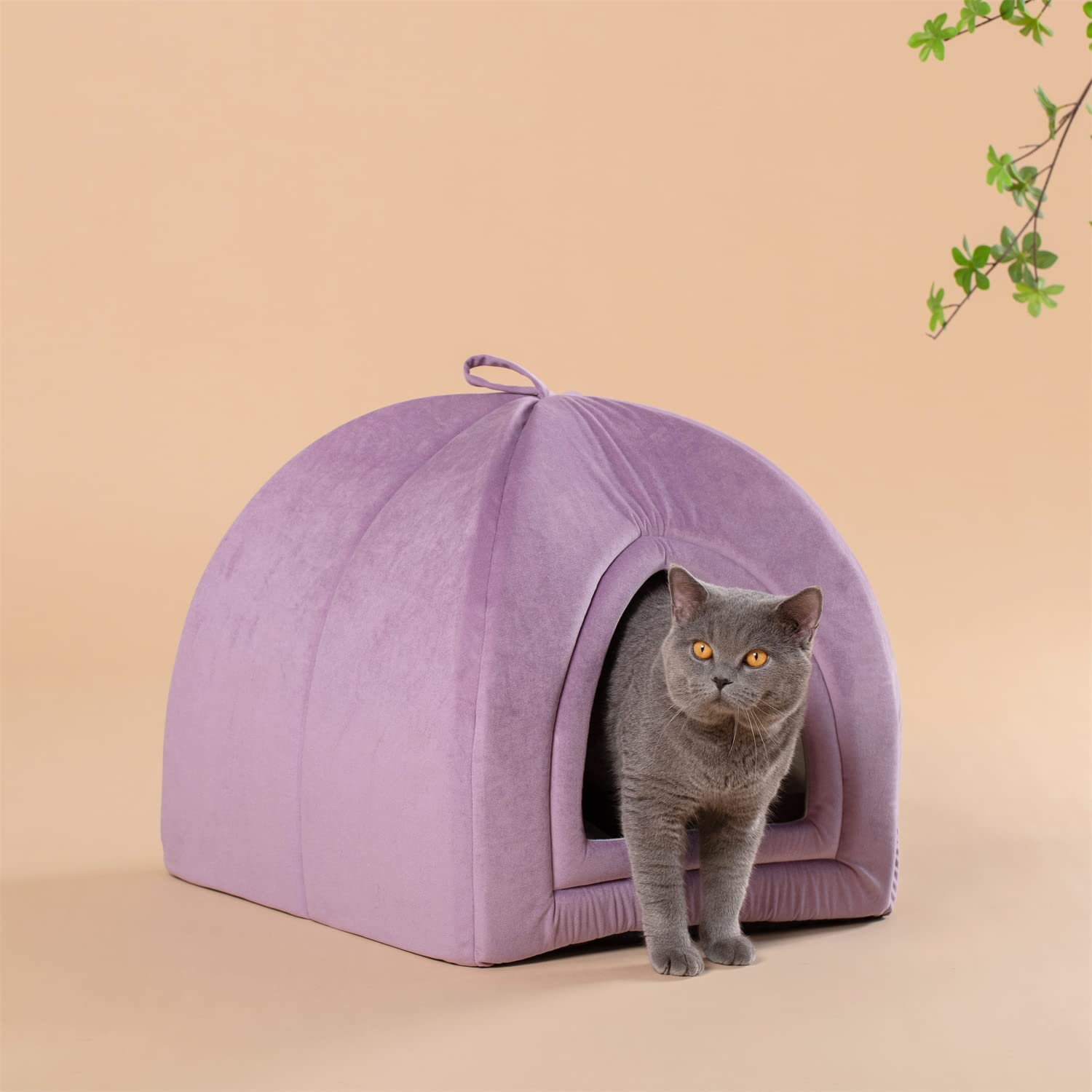 Kasentex Cat Bed, Lovely Tent with Removable Washable Pillow Cushion