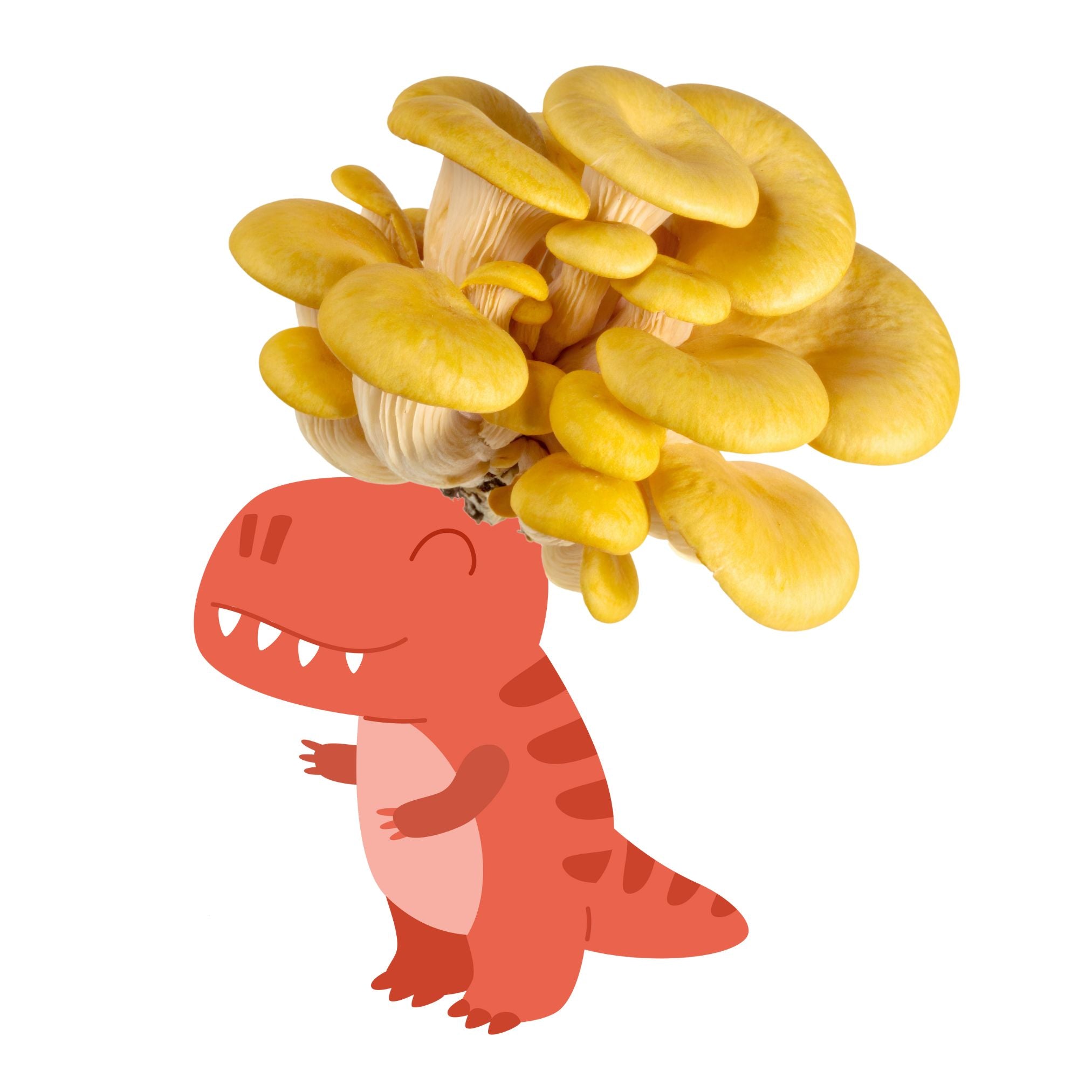 Fungisaurus Rex - Gold Oyster Mushroom Grow Kit - 6.5 LBS