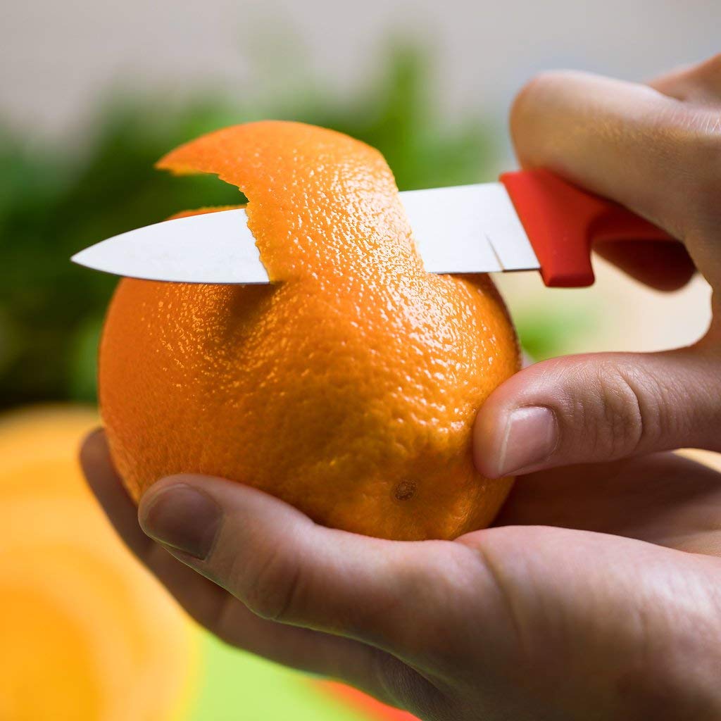 Chef's Choice Colorful Professional 12 Piece Knife Set By Cooler Kitchen