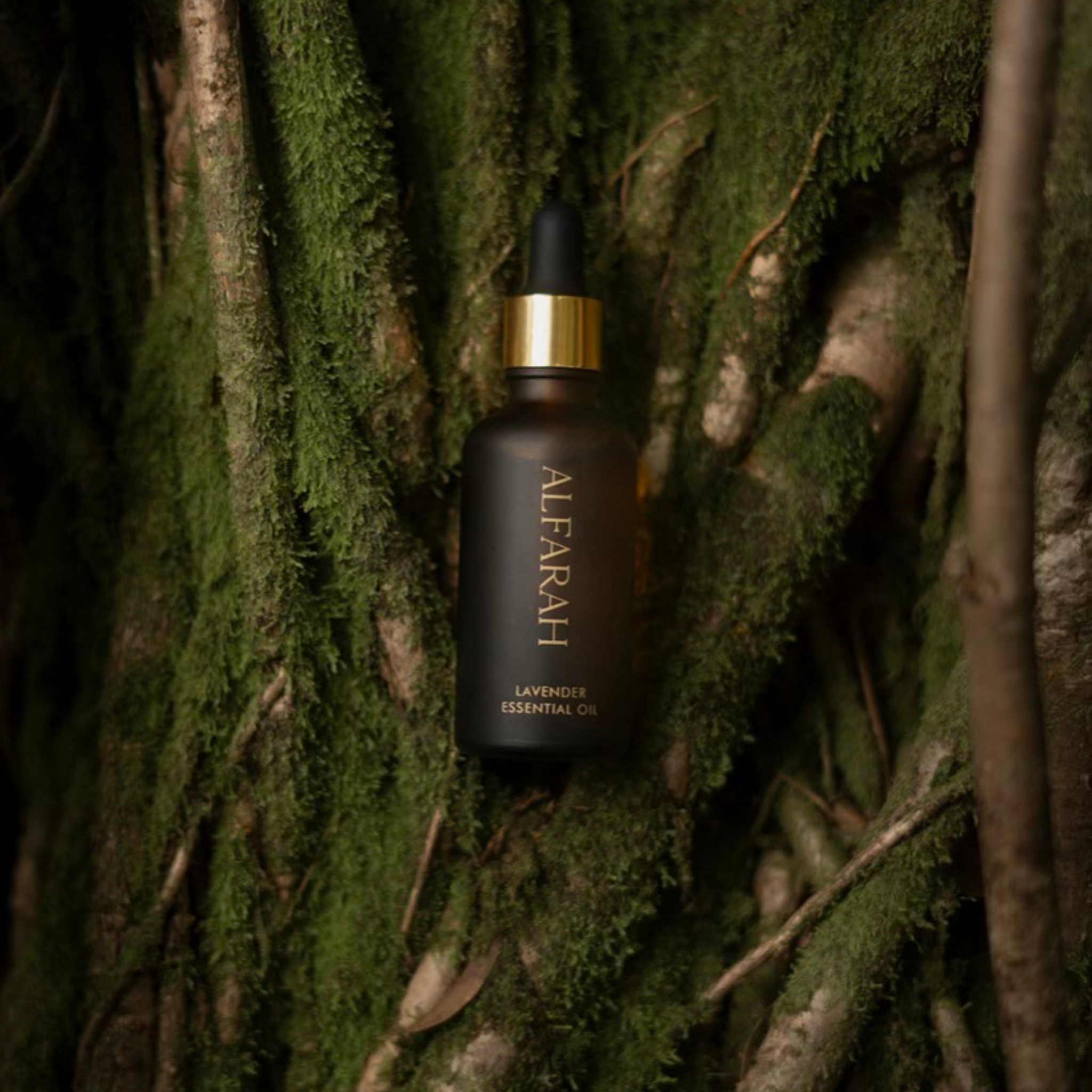 French Lavender Oil - Medical Grade